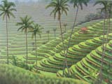 Bali Rice Terraces thumbnail