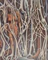 Banyan Succession thumbnail