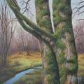 DancingTrees thumbnail