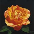 Flower Child thumbnail