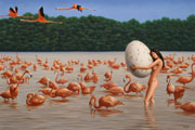Madonna of the Flamingos thumbnail