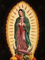 Madonna of the Peppers thumbnail