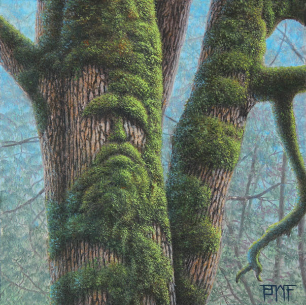 Mossbeard
