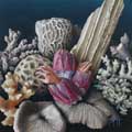 Sea Change thumbnail