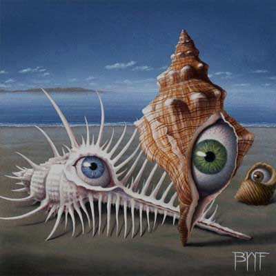 See Shell