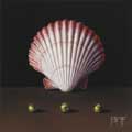 Shell Game thumbnail