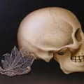 Skeletal thumbnail